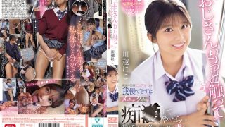 SONE-673 Decensored  I Could not Resist The Bright-smiling Innocent Girl And Started Molesting Her Niko Kawagoe S1 NO.1 Style